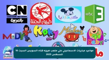 مواعيد مباريات الإسماعيلي على ملعب هيئة قناة السويس السبت 16 أغسطس 2025